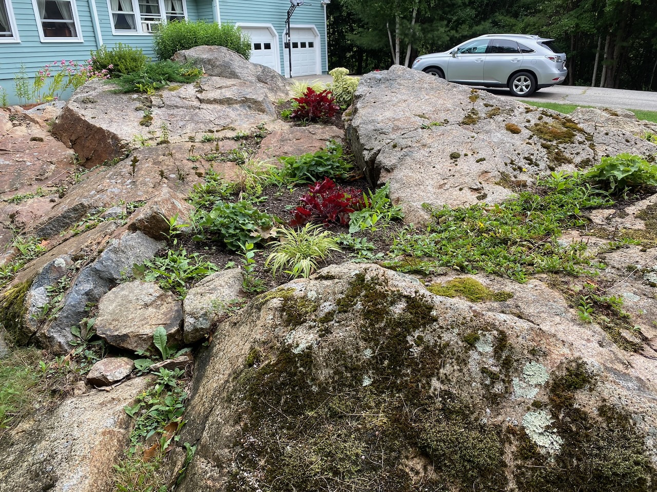 Rock Garden Landscaping