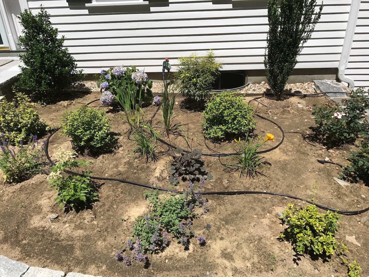 Drip Irrigation in Sudbury, MA