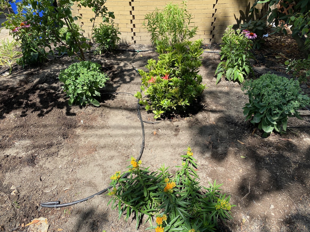 Foundation garden irrigation
