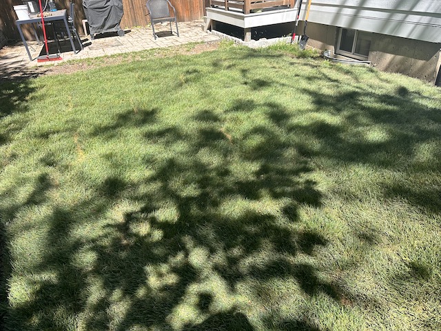 Sod lawn in Medford, MA