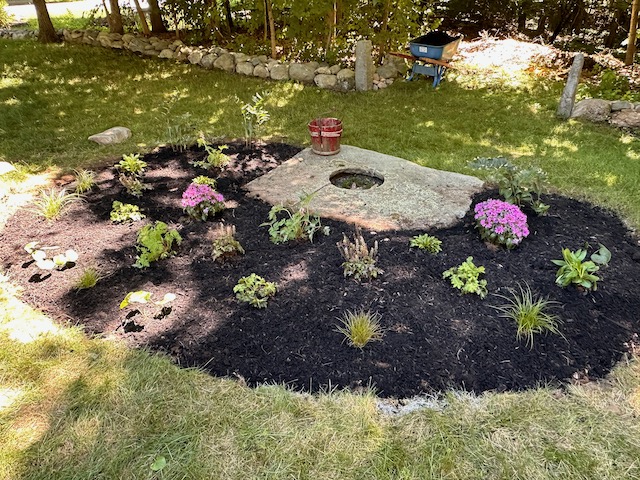 Shady Perennial Bed in Bolton, MA