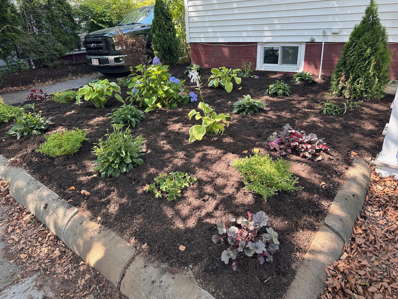 Somerville lawn alternative