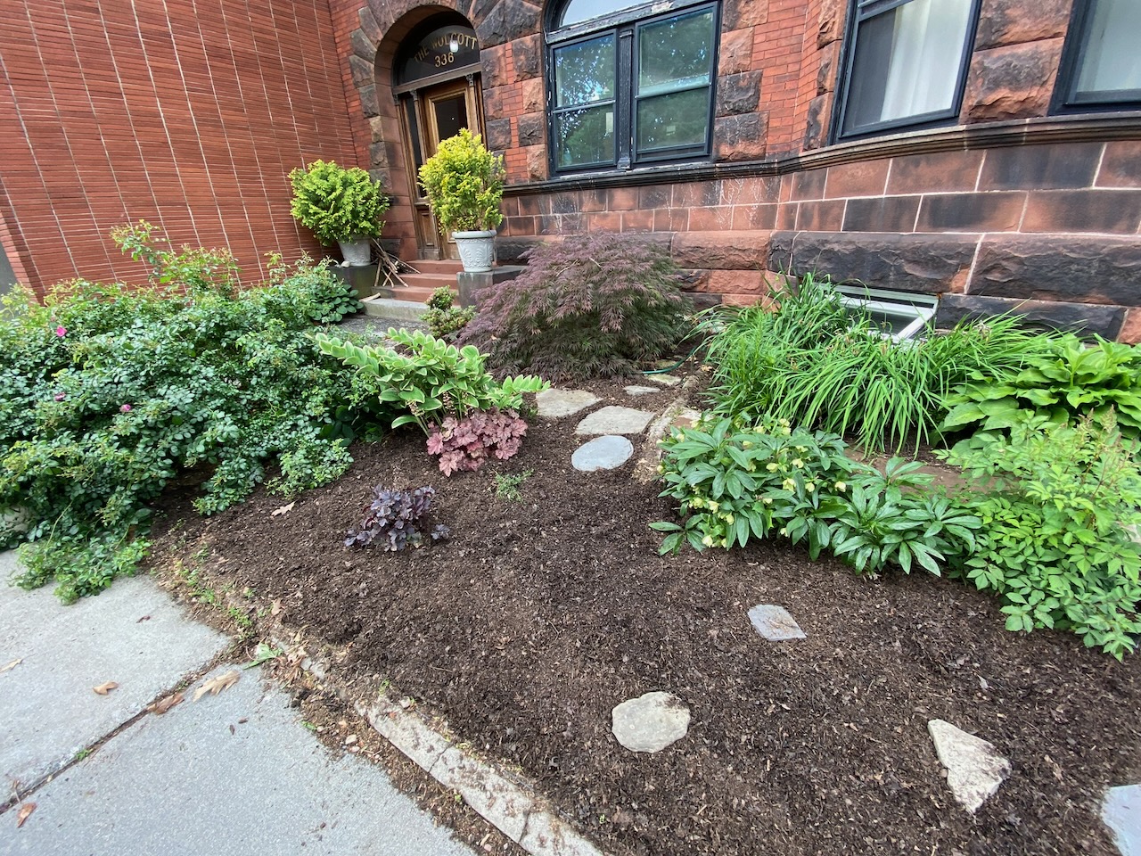 Prune, cleanup, & mulch in Brookline, MA