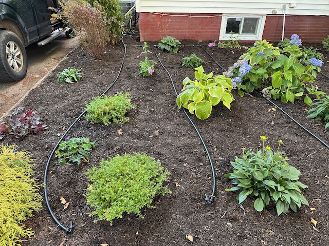 Low flow drip irrigation in Somerville, MA