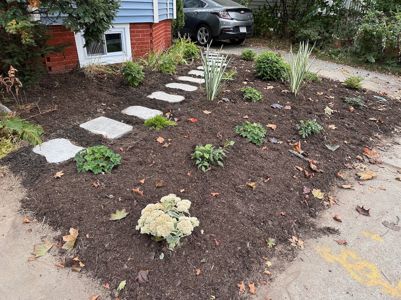 Lawn Alternative in Somerville, MA