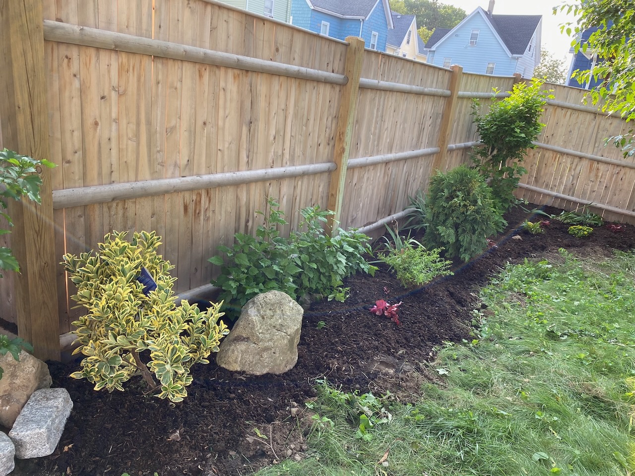 Backyard Plantings in Malden, MA
