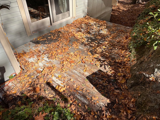 Deck Repairs