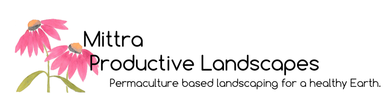 Mittra Productive Landscapes